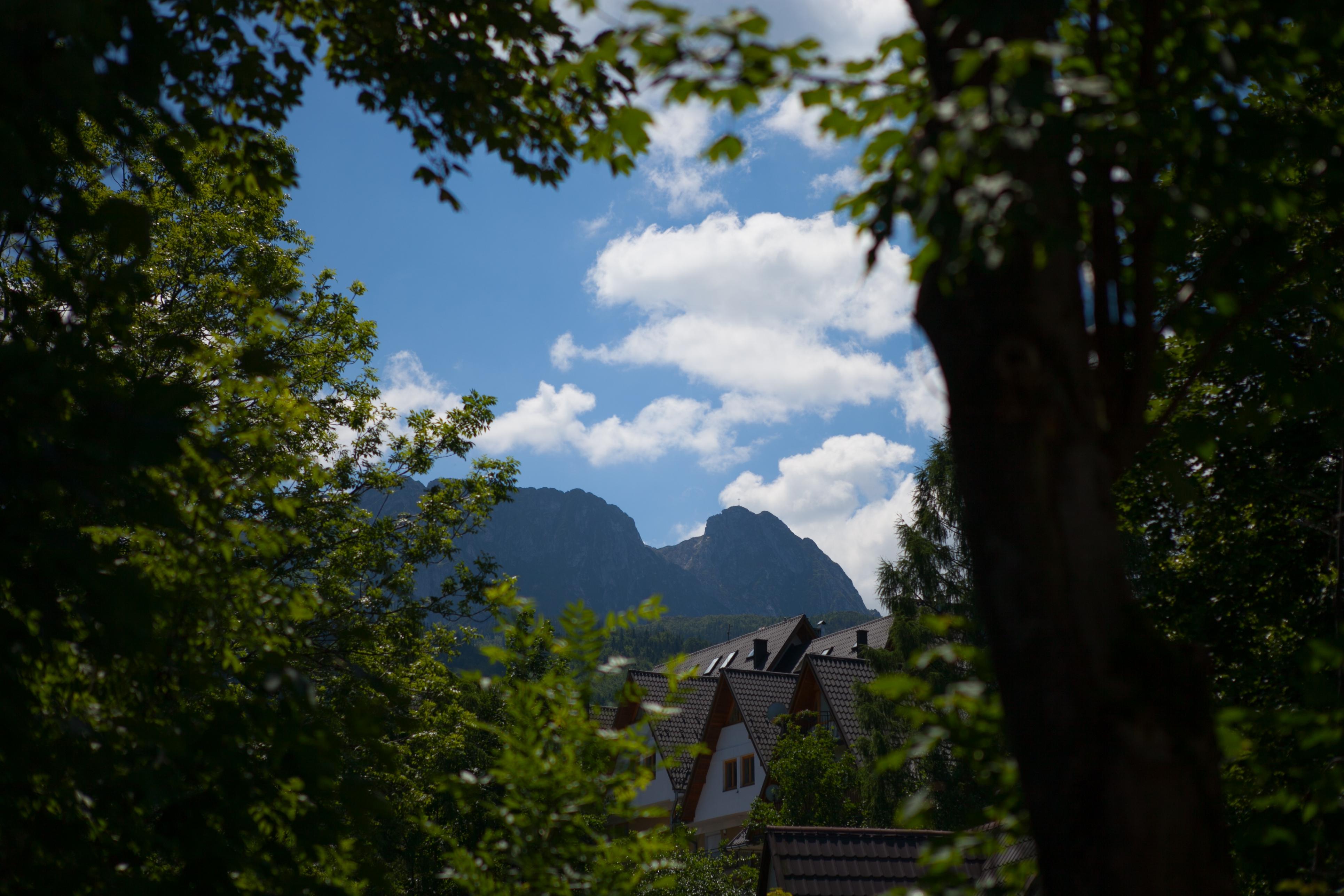 Hotel Szarotka Zakopane Exterior foto